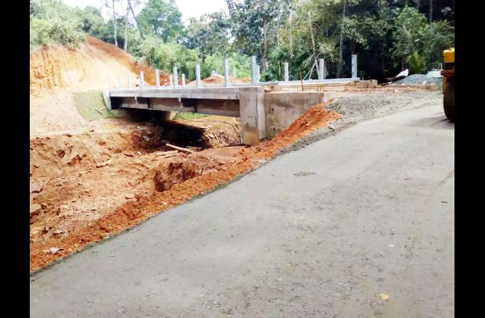 DIGANA (22M LENGTH) BRIDGE